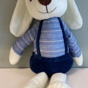 Heerlijk zachte knuffel in blauwe kleding