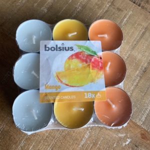Waxinelichtjes Mango